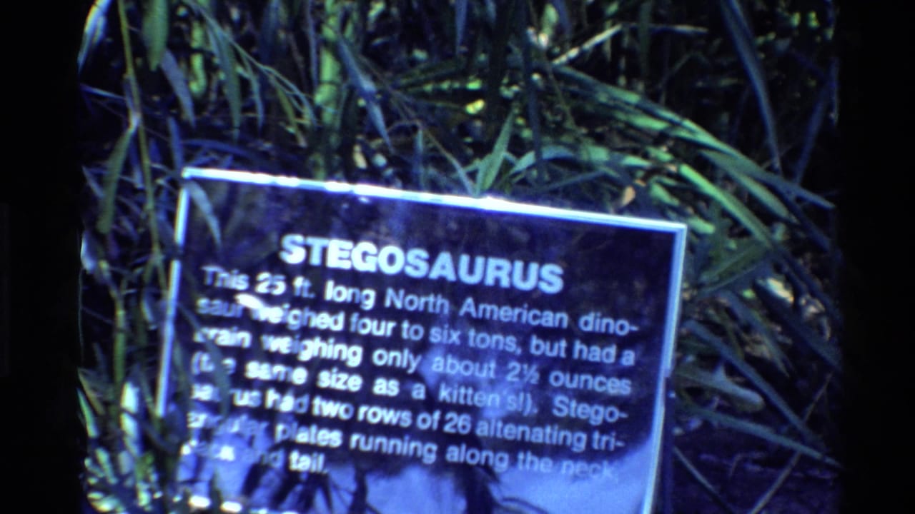 1980 United States 8mm frame showing a blue-lit Stegosaurus exhibit sign in a museum-style diorama with leaves behind it.