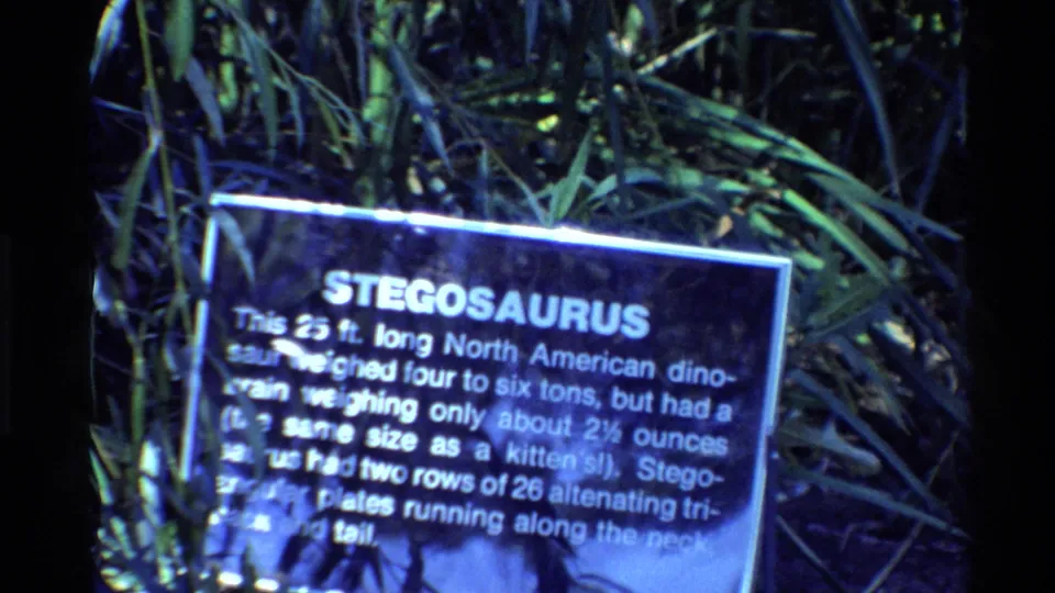 1980 United States 8mm frame showing a blue-lit Stegosaurus exhibit sign in a museum-style diorama with leaves behind it.