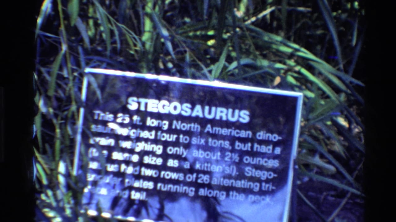 Stegosaurus exhibit panel with white text and leafy diorama background.