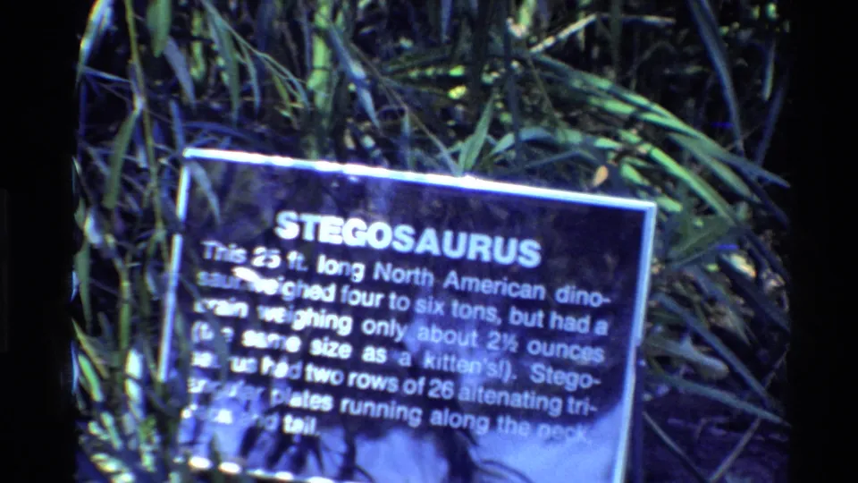 A handheld 8mm view of a Stegosaurus museum sign, its text softened by focus and blue-green exhibit lighting.