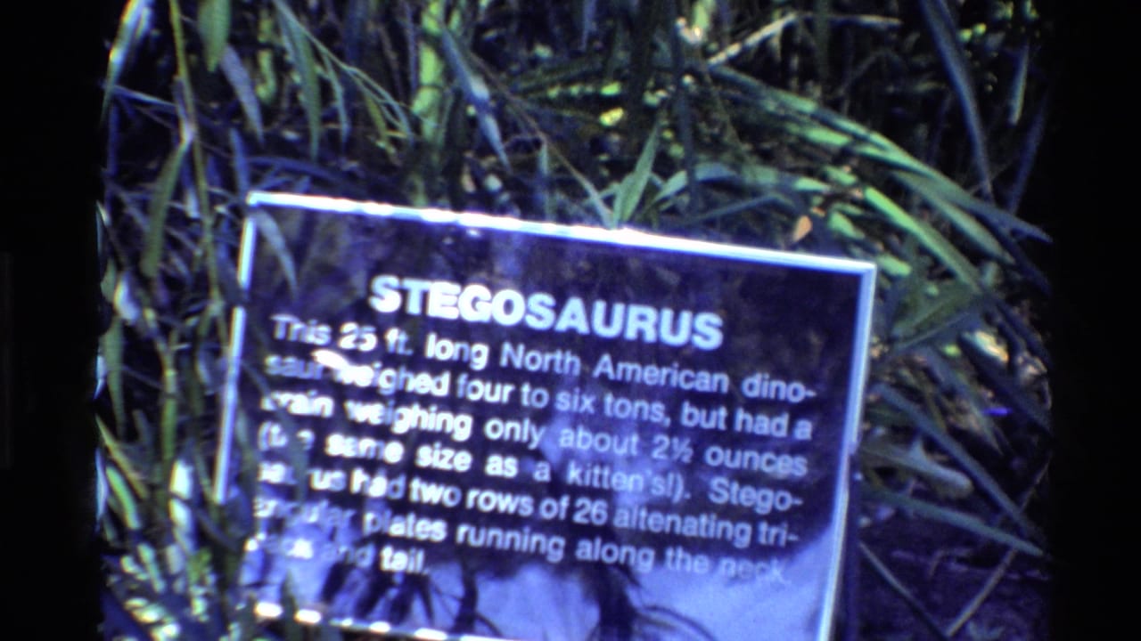 The Stegosaurus exhibit sign remains centered in a United States 1980 home-movie frame, with dense artificial foliage behind it.