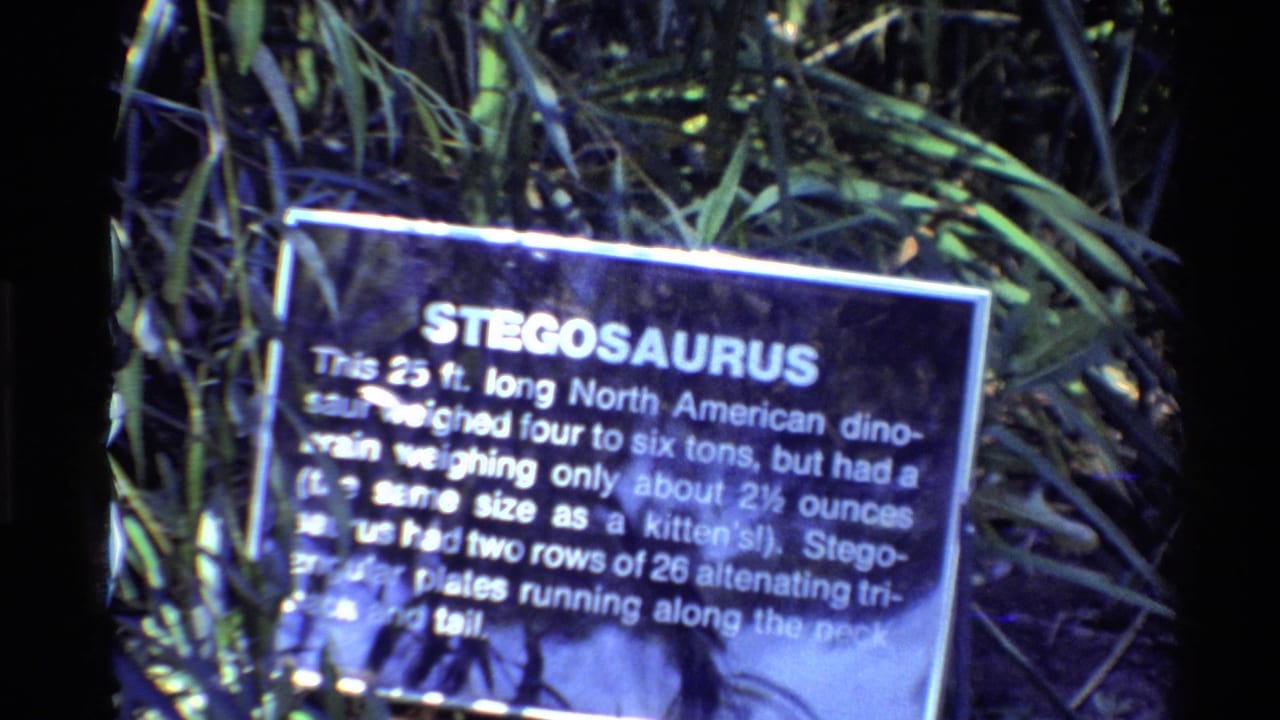 Final 8mm frame of the blue-lit Stegosaurus information sign, with artificial foliage and dark exhibit space around it.