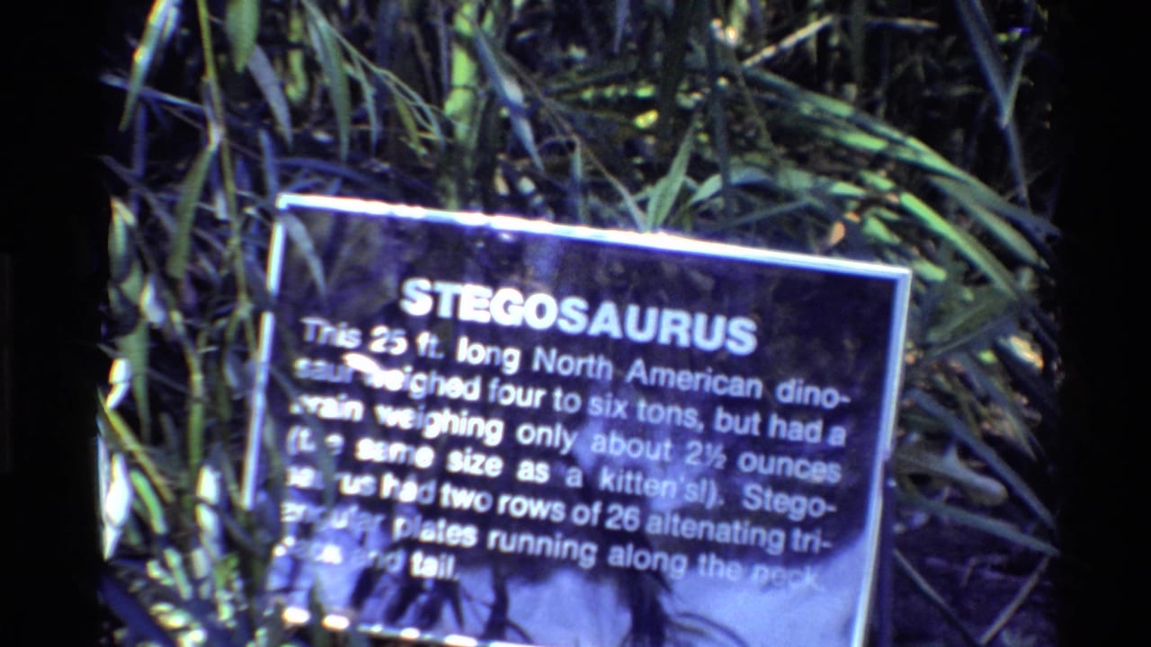 Western USA 1980 8mm frame showing a close-up of a Stegosaurus exhibit plaque partly obscured by foliage and soft focus.