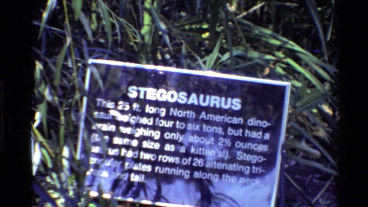 Stegosaurus exhibit plaque with white text and surrounding plants.