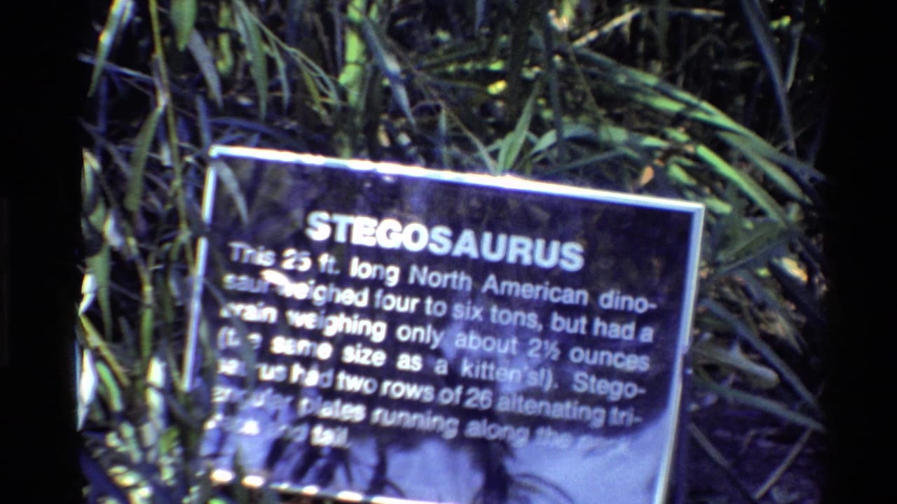Soft, grainy 8mm frame of the Stegosaurus plaque, with the text and sign edge visible through handheld motion blur.
