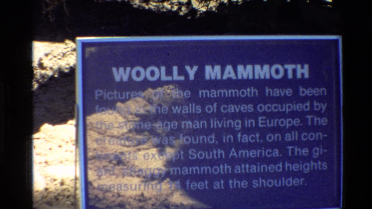Blue Woolly Mammoth informational sign partly covered by shadow.