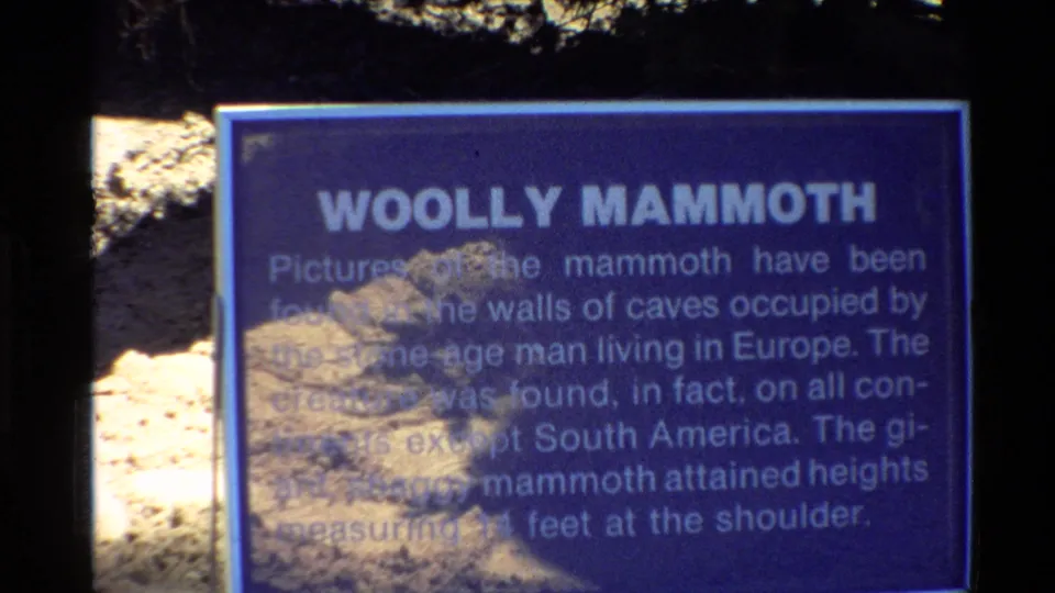 Blue exhibit sign titled Woolly Mammoth, with white text partly obscured by glare and shadow in an outdoor park setting.