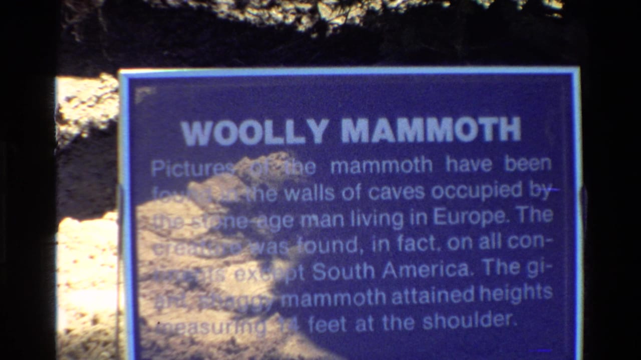 Closer 8mm view of a blue Woolly Mammoth informational sign, with white lettering softened by focus, glare, and shadow.