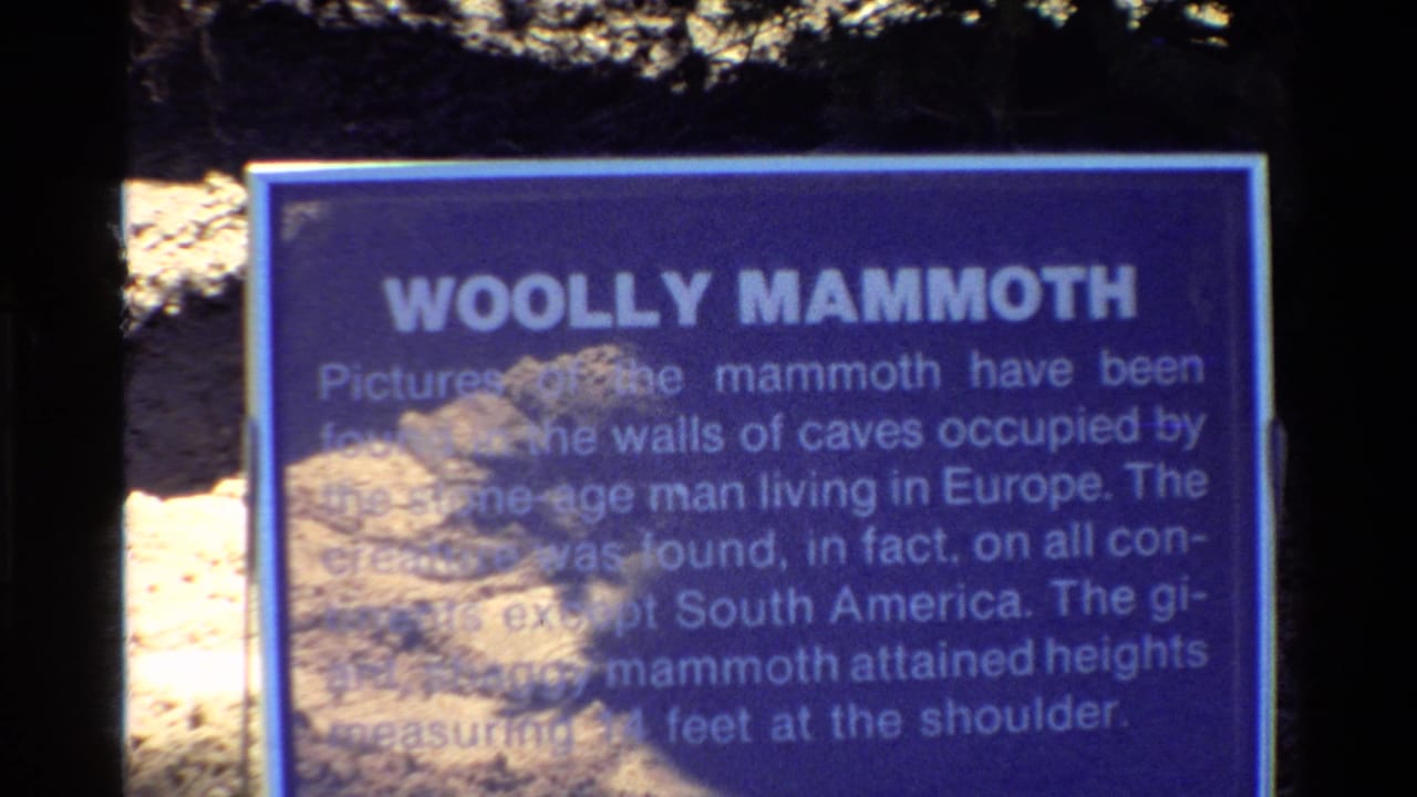 Outdoor blue Woolly Mammoth sign remains in frame, its white exhibit text partly readable beneath tree shadow and film softness.