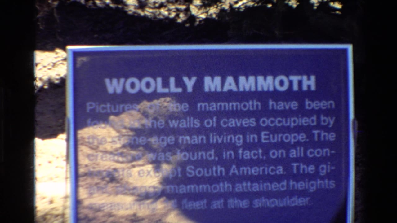 Close view of a blue Woolly Mammoth informational sign at an outdoor U.S. tourist attraction, filmed on 8mm in 1980.