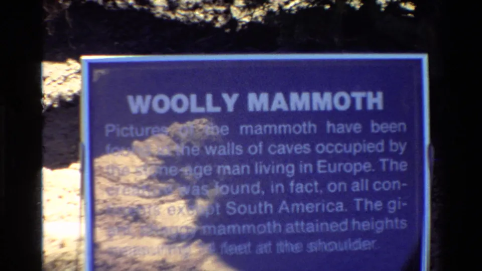 Close view of a blue Woolly Mammoth informational sign at an outdoor U.S. tourist attraction, filmed on 8mm in 1980.