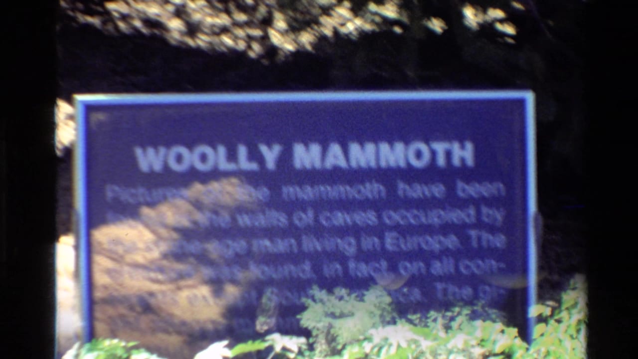 Second close view of the Woolly Mammoth sign with foliage along the bottom edge.