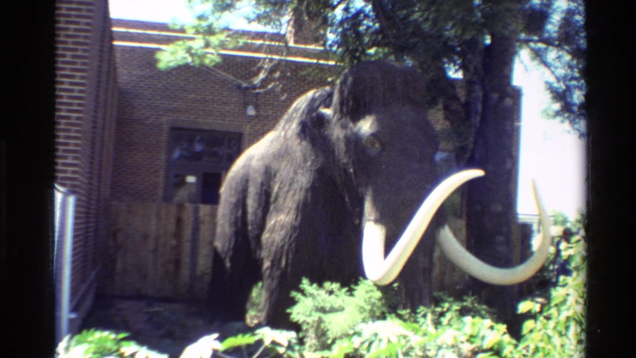 Large shaggy mammoth model with pale curved tusks stands outdoors near shrubs, trees, and a brick building in 1980 home-movie footage.