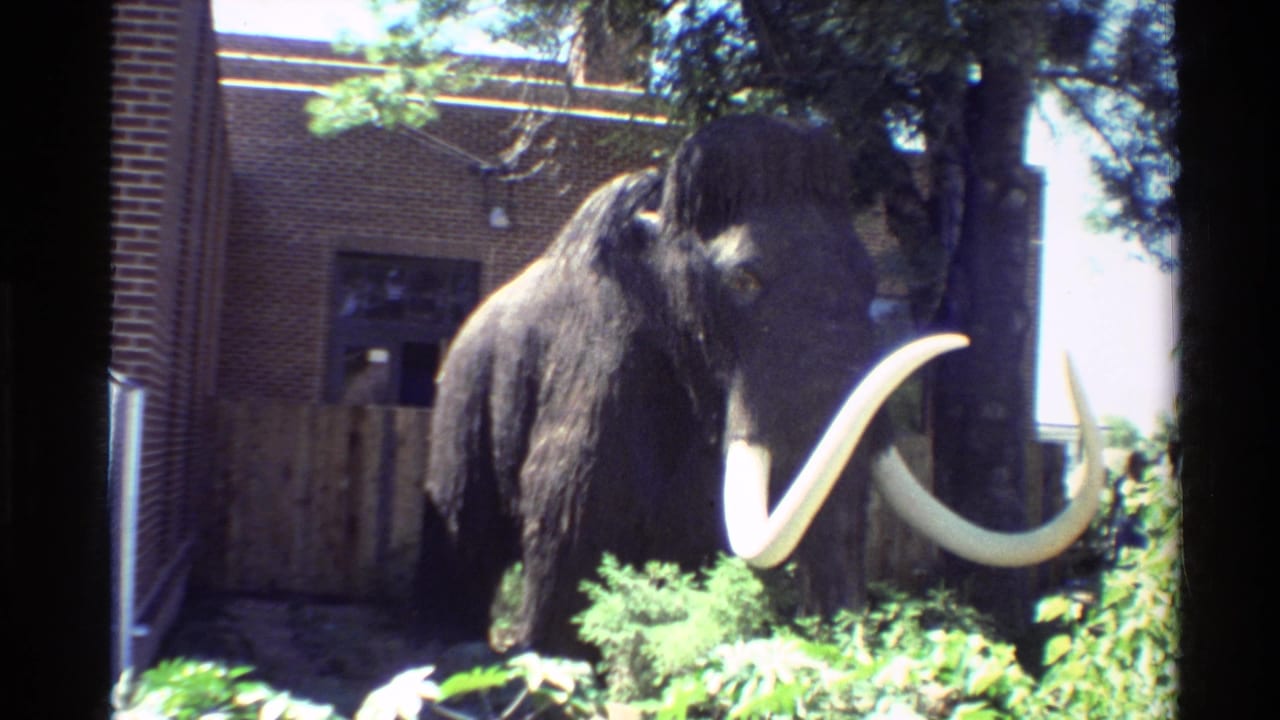 The mammoth model remains framed beside trees and plantings, with its long white tusks prominent against the shaded exhibit area.