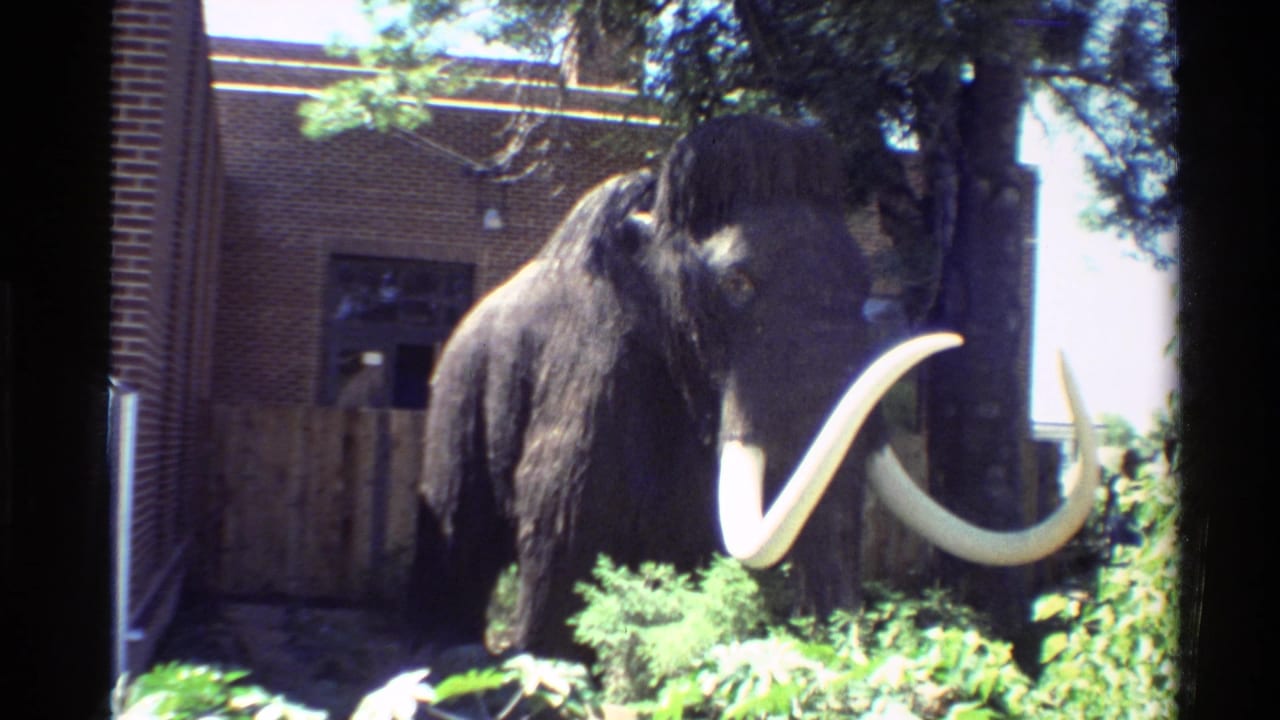 1980 Western USA 8mm frame showing an outdoor mammoth exhibit beside brickwork, a wooden fence, trees, and dense foliage.