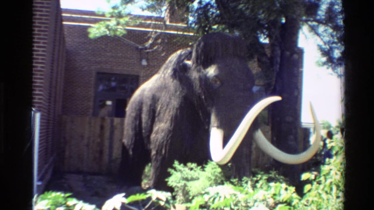 Outdoor mammoth statue with long tusks, greenery, tree shade, brick wall, and fence behind it.