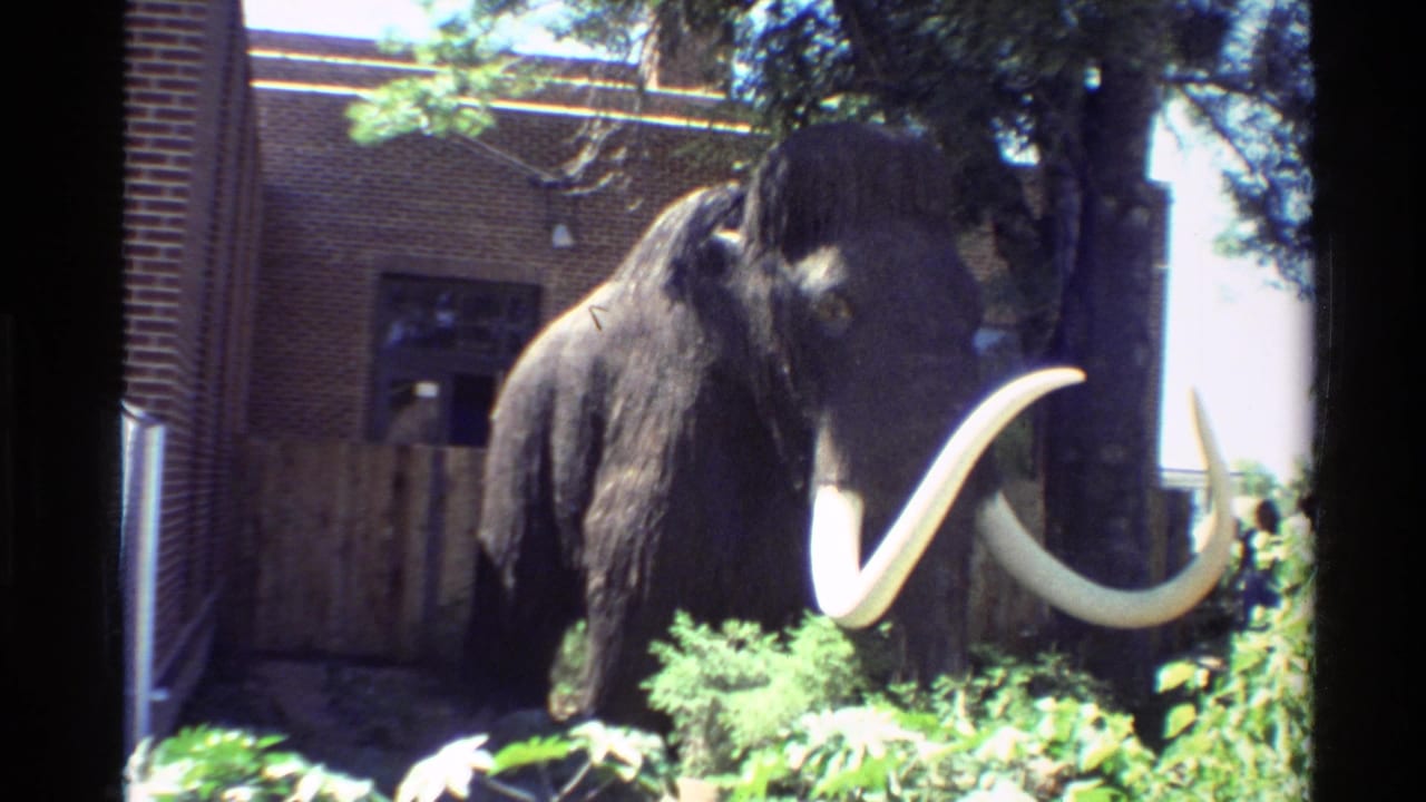 1980 Western USA 8mm still of the mammoth display, with soft focus, sunlit plants, brick wall, and wooden fence visible.
