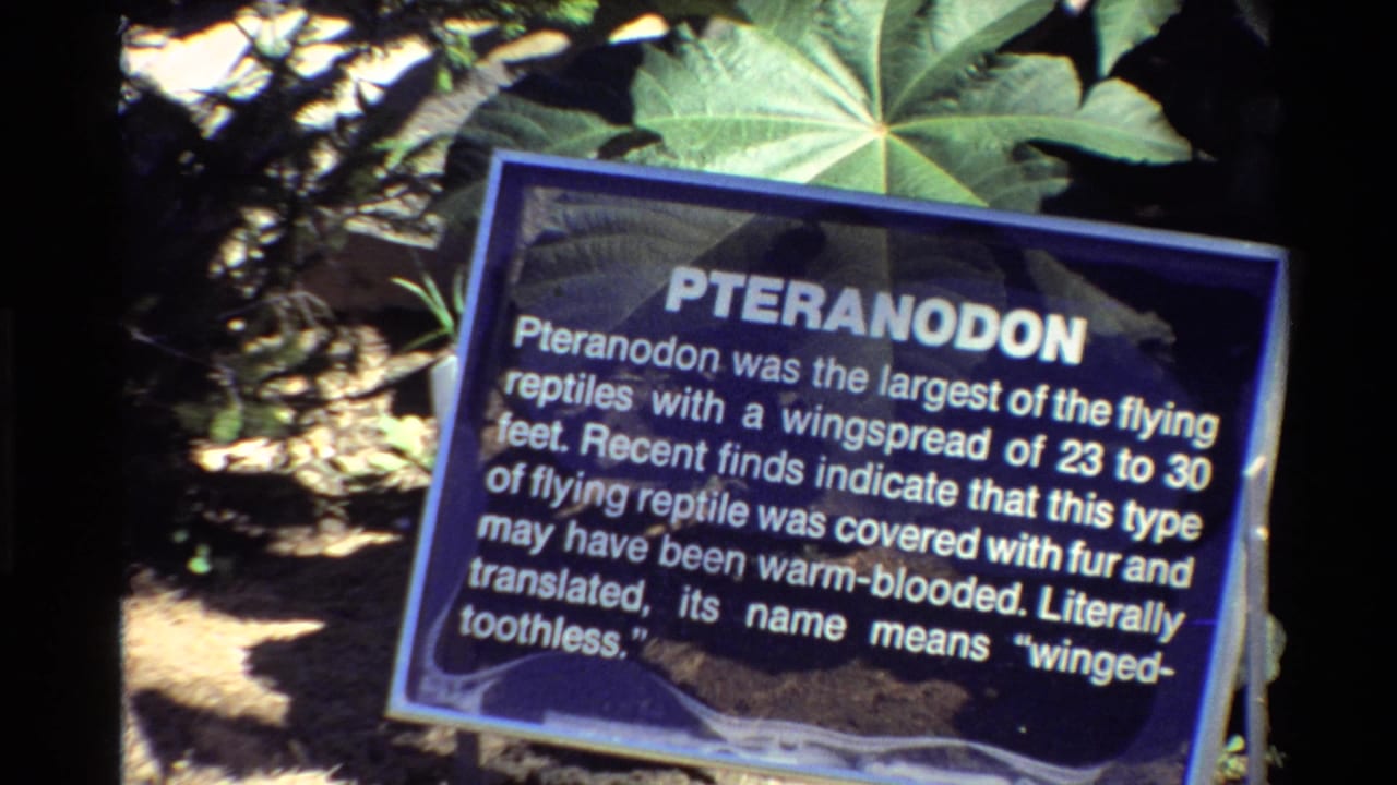 1980 Western USA 8mm frame showing a Pteranodon exhibit sign amid broad green leaves in a natural-history display area.