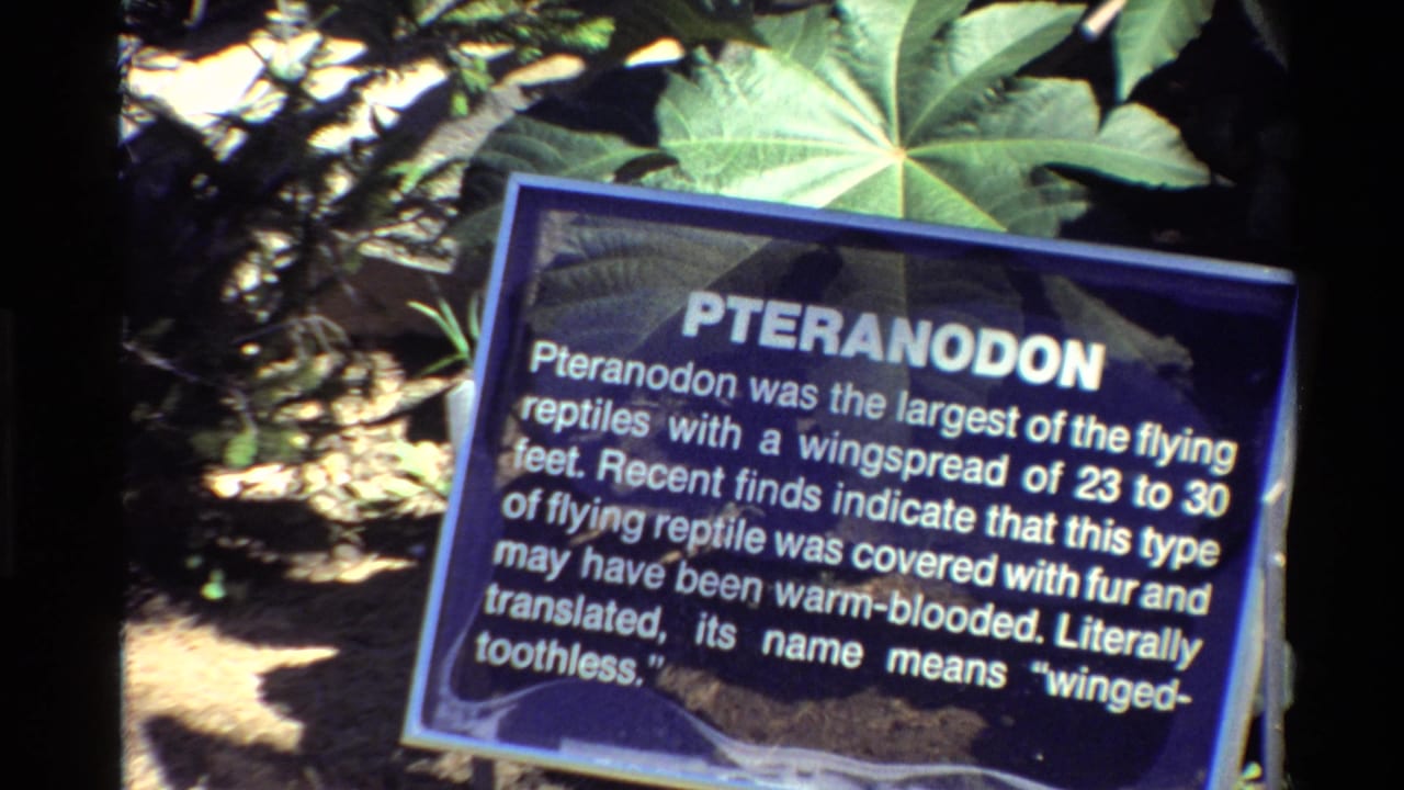 1980 United States 8mm frame showing a blue Pteranodon exhibit sign with white text, surrounded by green foliage and shadow.