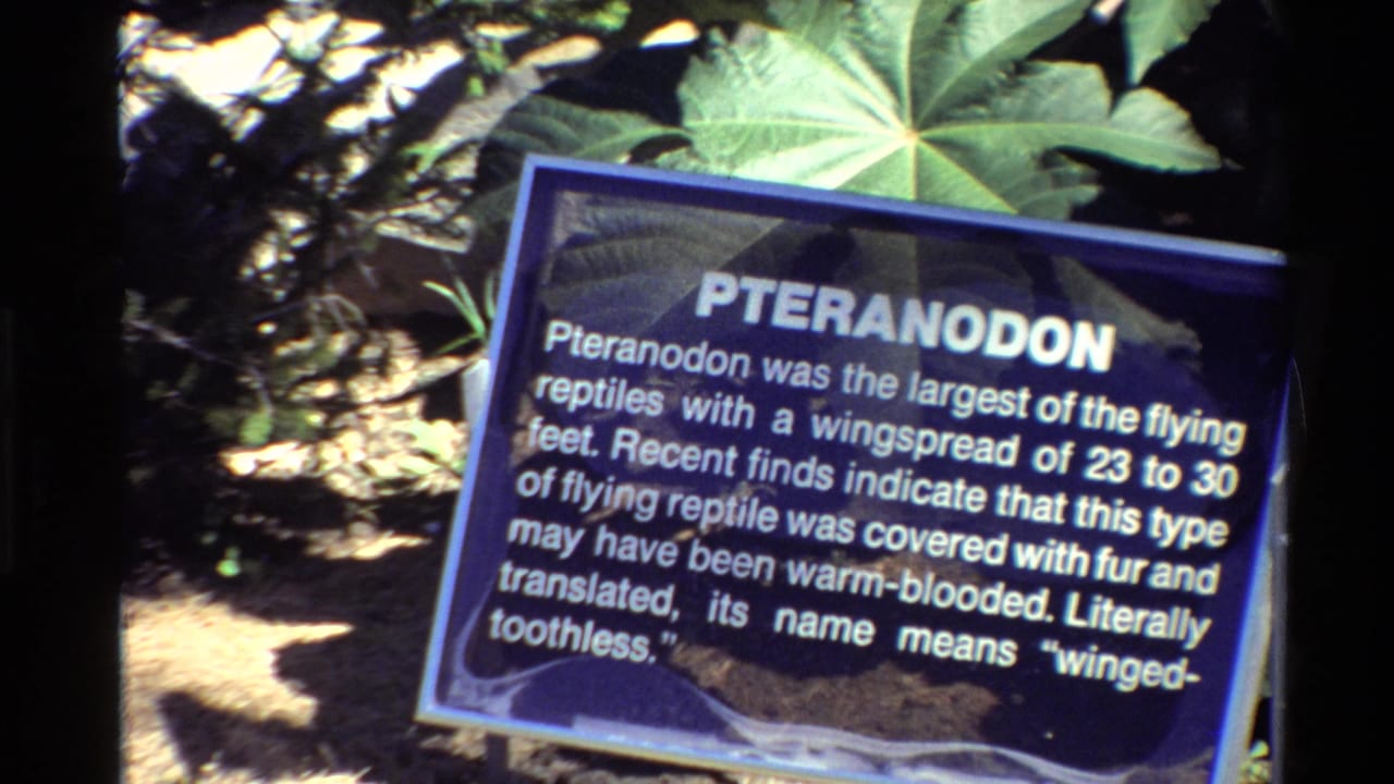 Blue Pteranodon sign with white text framed by large leaves.