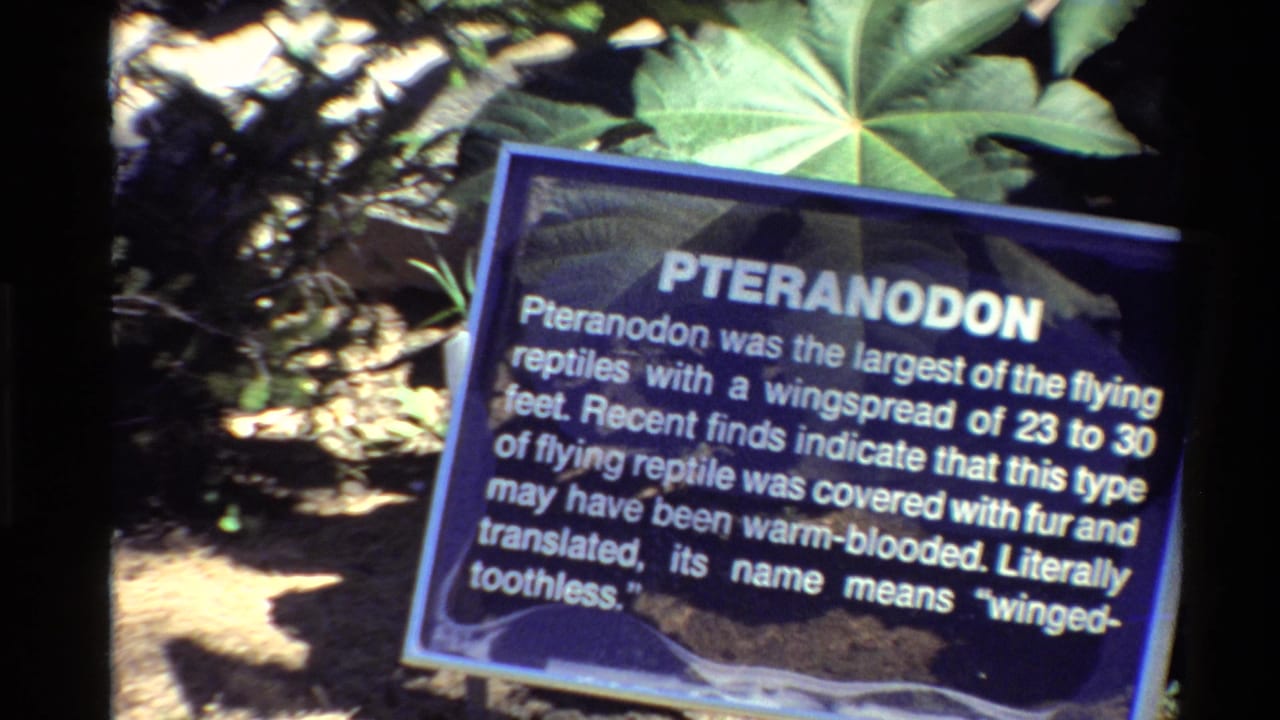1980 United States 8mm frame showing the Pteranodon informational panel, with readable white text and foliage around the display.