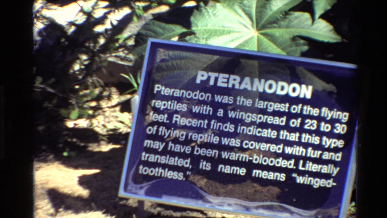 1980 United States 8mm frame with a centered blue Pteranodon sign, white interpretive text, and green foliage in strong sunlight.