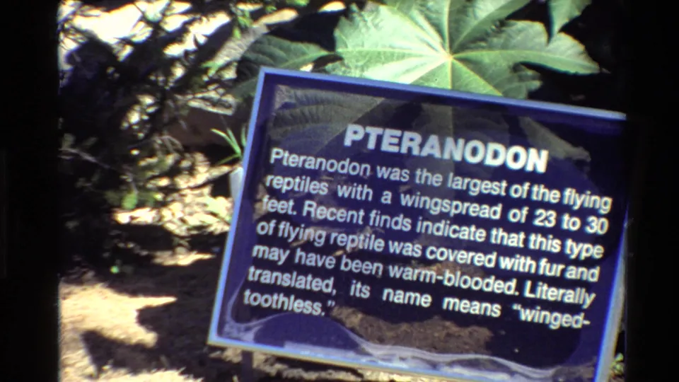1980 United States 8mm frame with a centered blue Pteranodon sign, white interpretive text, and green foliage in strong sunlight.