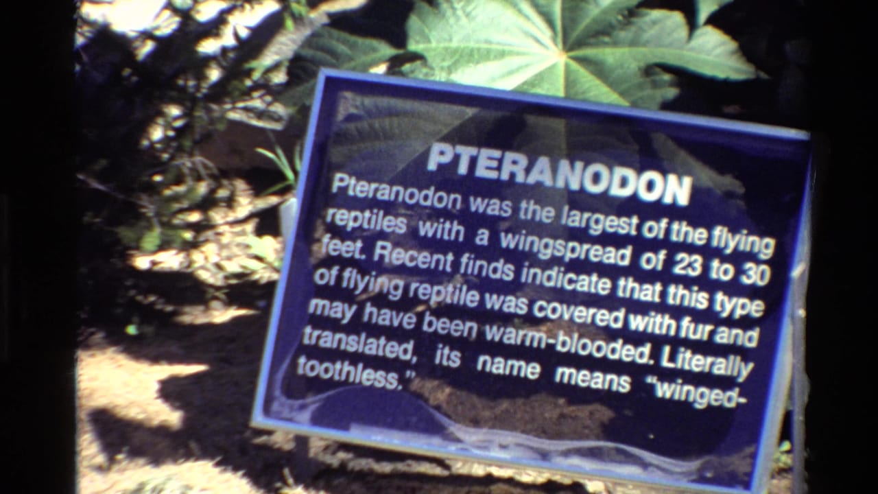 1980s 8mm frame showing a Pteranodon information plaque in an outdoor Western USA exhibit setting, partly framed by leaves and film edges.