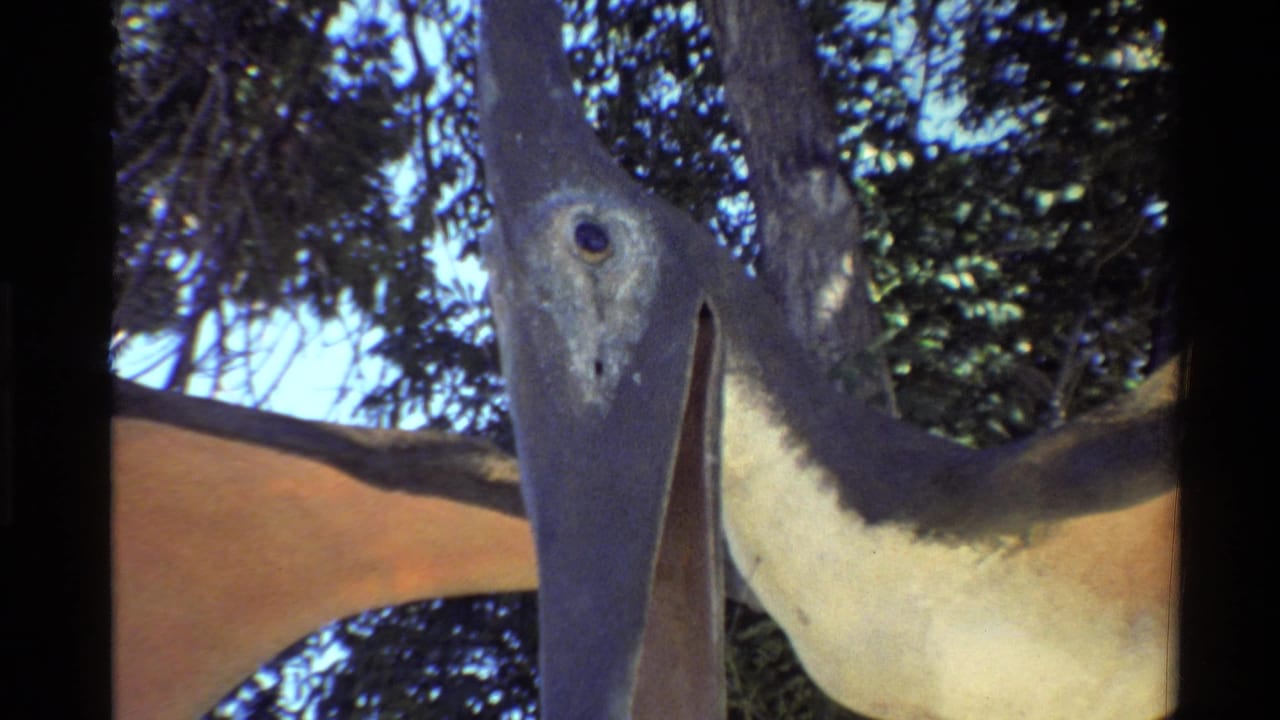 Close view of a Pteranodon statue with long beak and tan wing among trees.