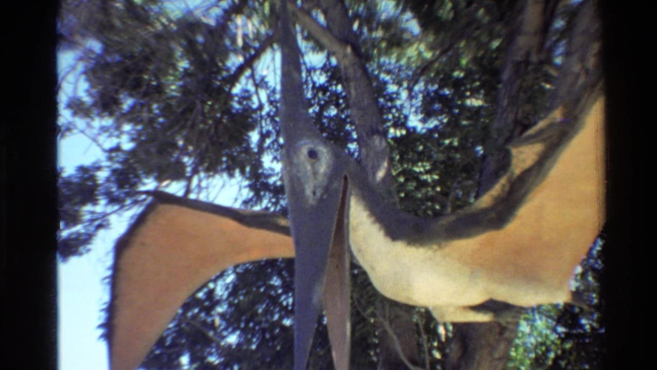 Handheld 8mm frame of the Pteranodon statue from below, with its long beak, pale body, and broad tan wings set against trees and sky.