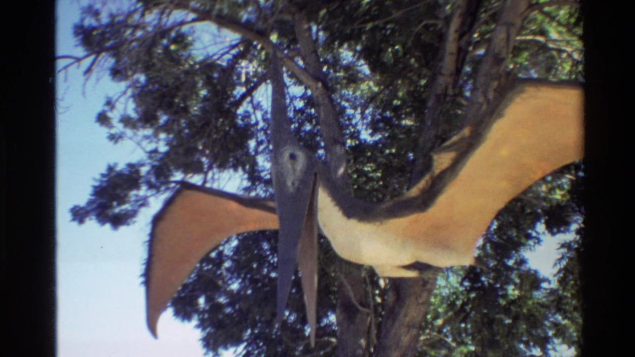 Wider 1980s 8mm view of the Pteranodon display, showing the long-beaked statue suspended among trees with tan wings extended.