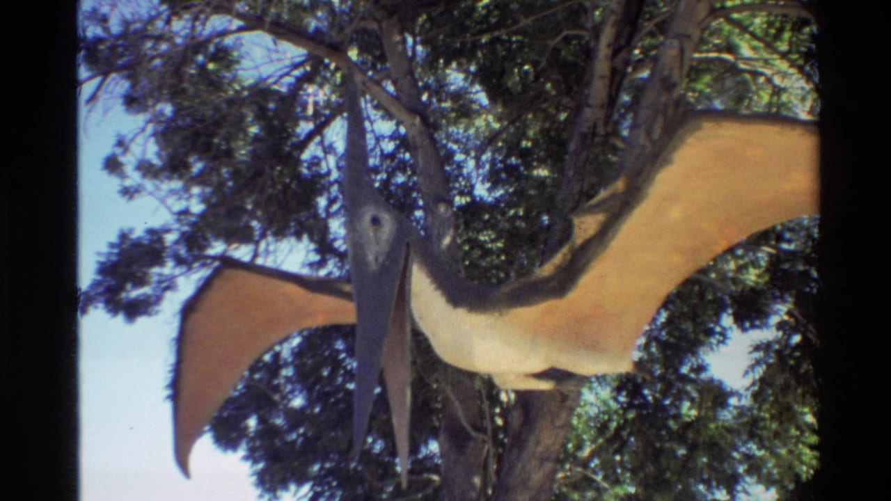 1980s Western USA 8mm frame showing a tan-winged pterodactyl model hanging in trees at an outdoor dinosaur park.