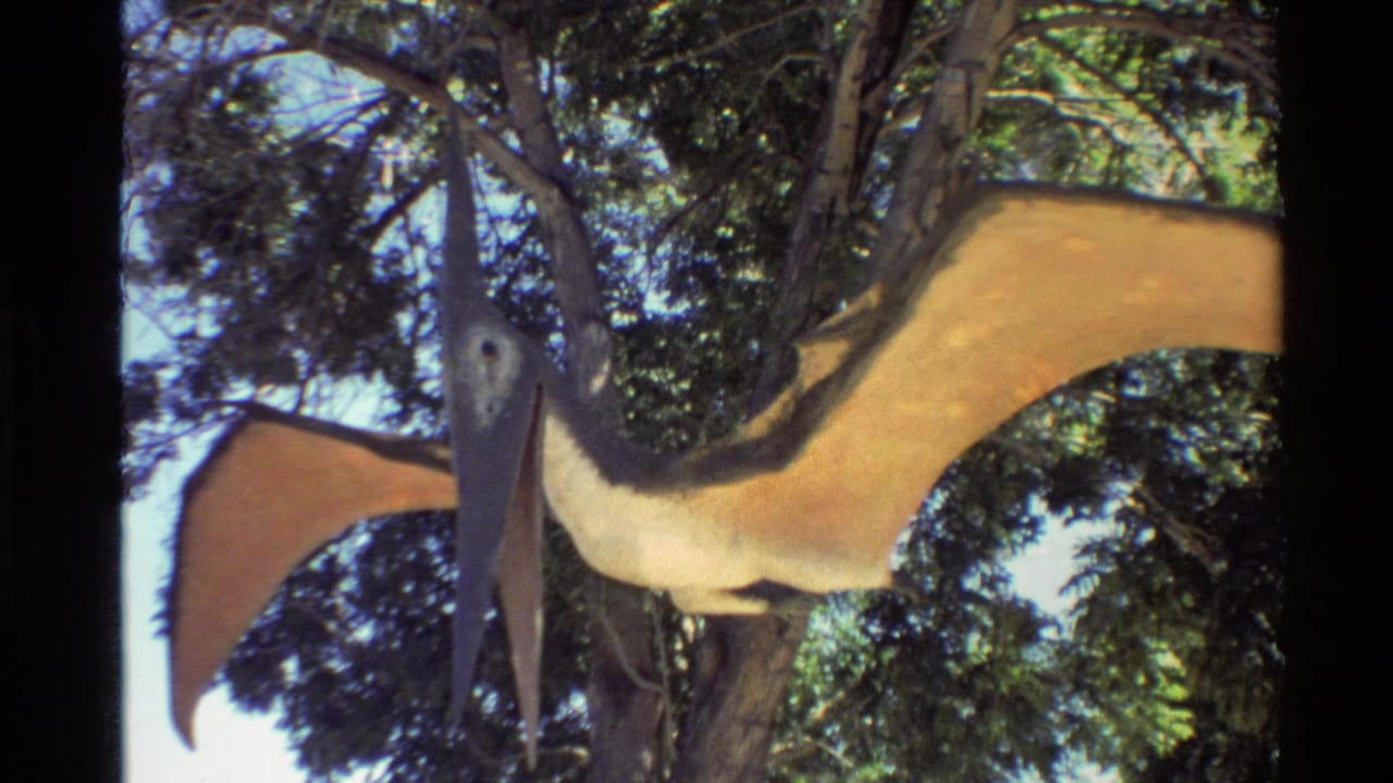 Close 8mm view of a long-beaked pterodactyl model with tan wings suspended among trees in an outdoor exhibit.
