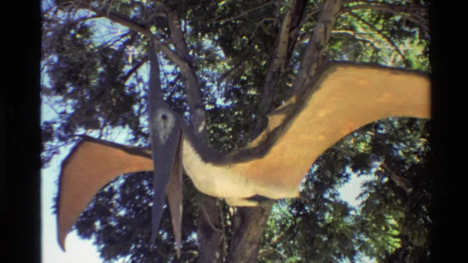Close 8mm view of a long-beaked pterodactyl model with tan wings suspended among trees in an outdoor exhibit.