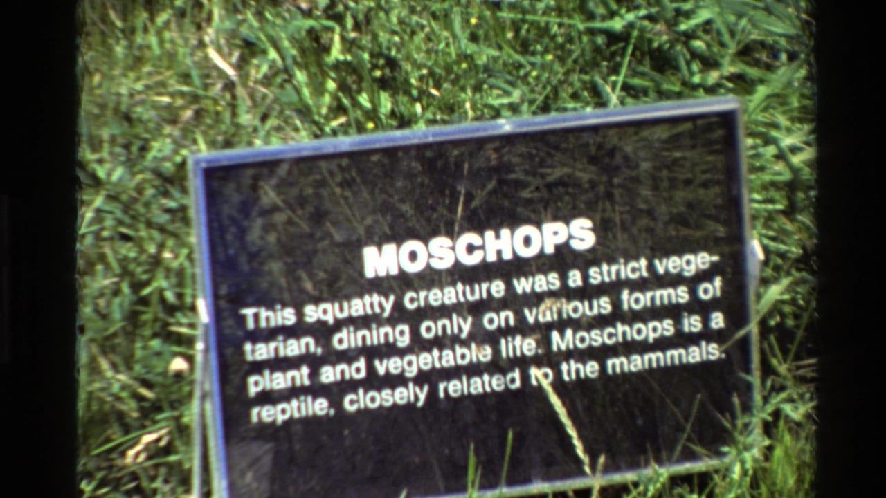 Outdoor museum exhibit sign for Moschops, filmed on 8mm with grass foreground and dark border at the side.