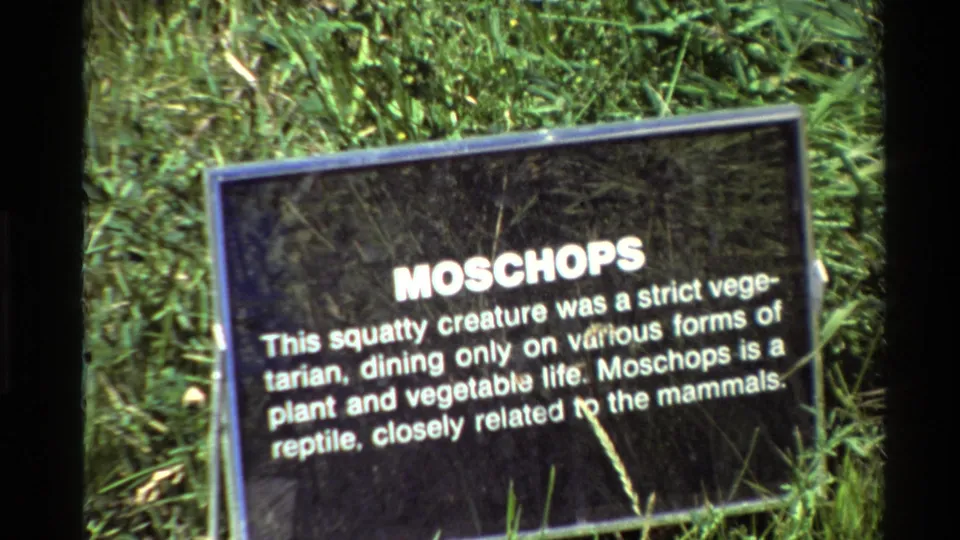 Outdoor museum exhibit sign for Moschops, filmed on 8mm with grass foreground and dark border at the side.