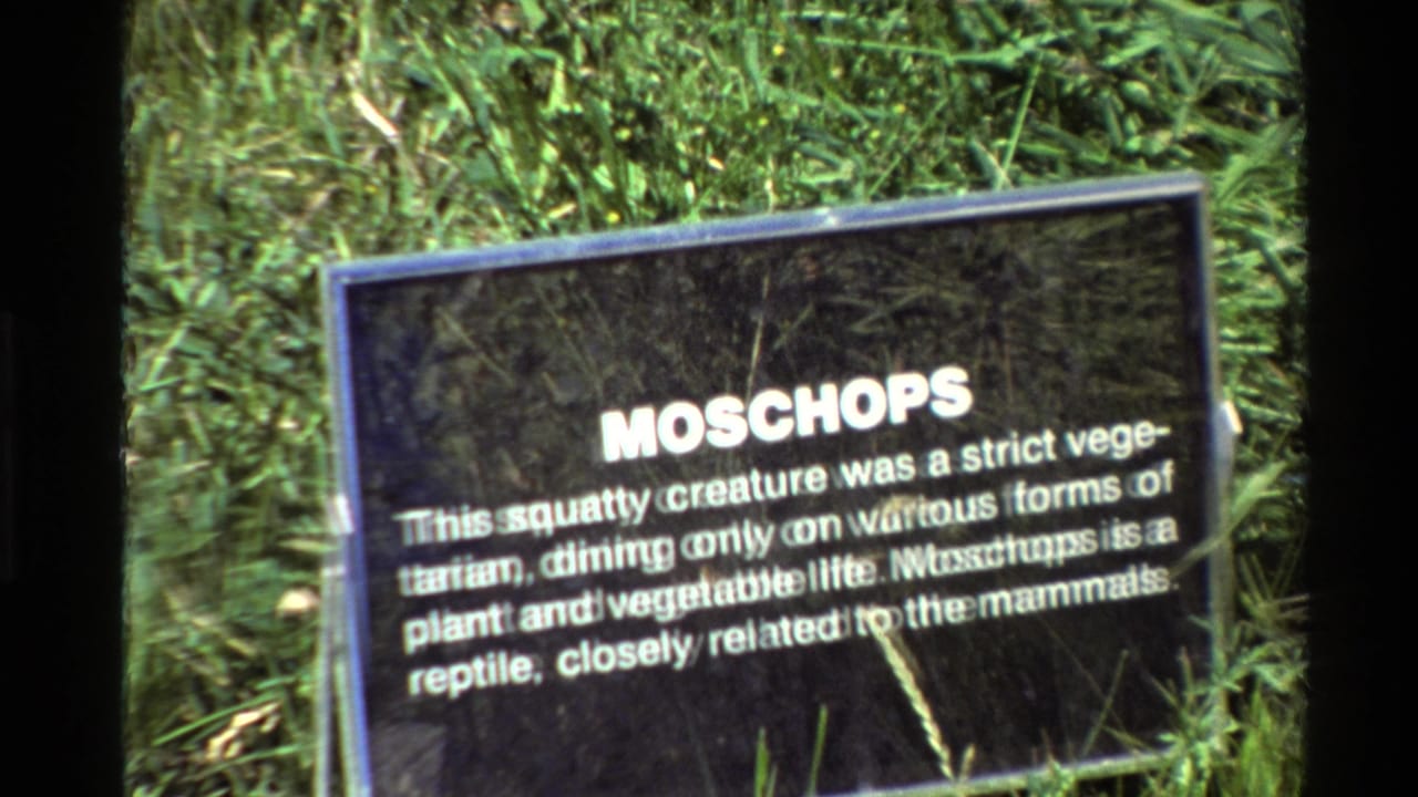 Close view of a Moschops information sign in a grassy outdoor exhibit, from 1980 United States home-movie footage.