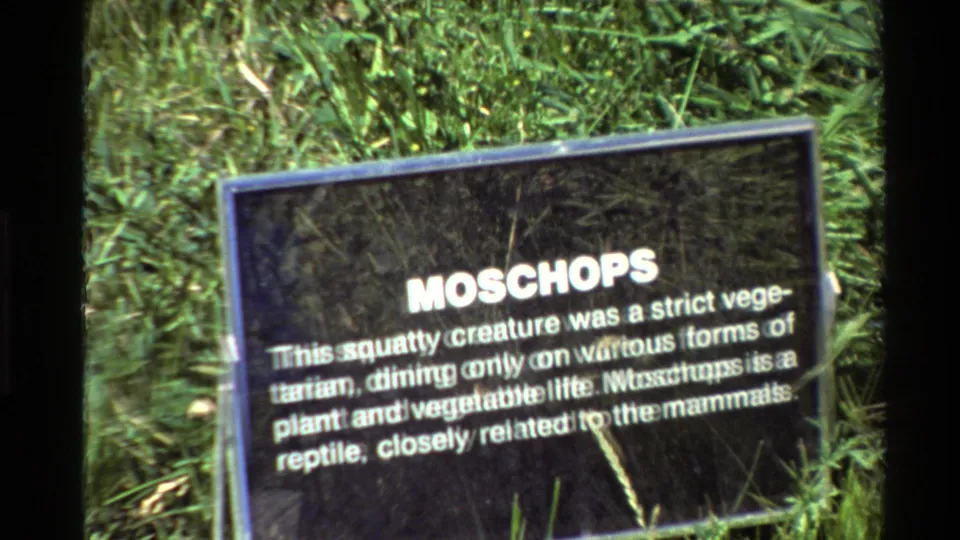Close view of a Moschops information sign in a grassy outdoor exhibit, from 1980 United States home-movie footage.