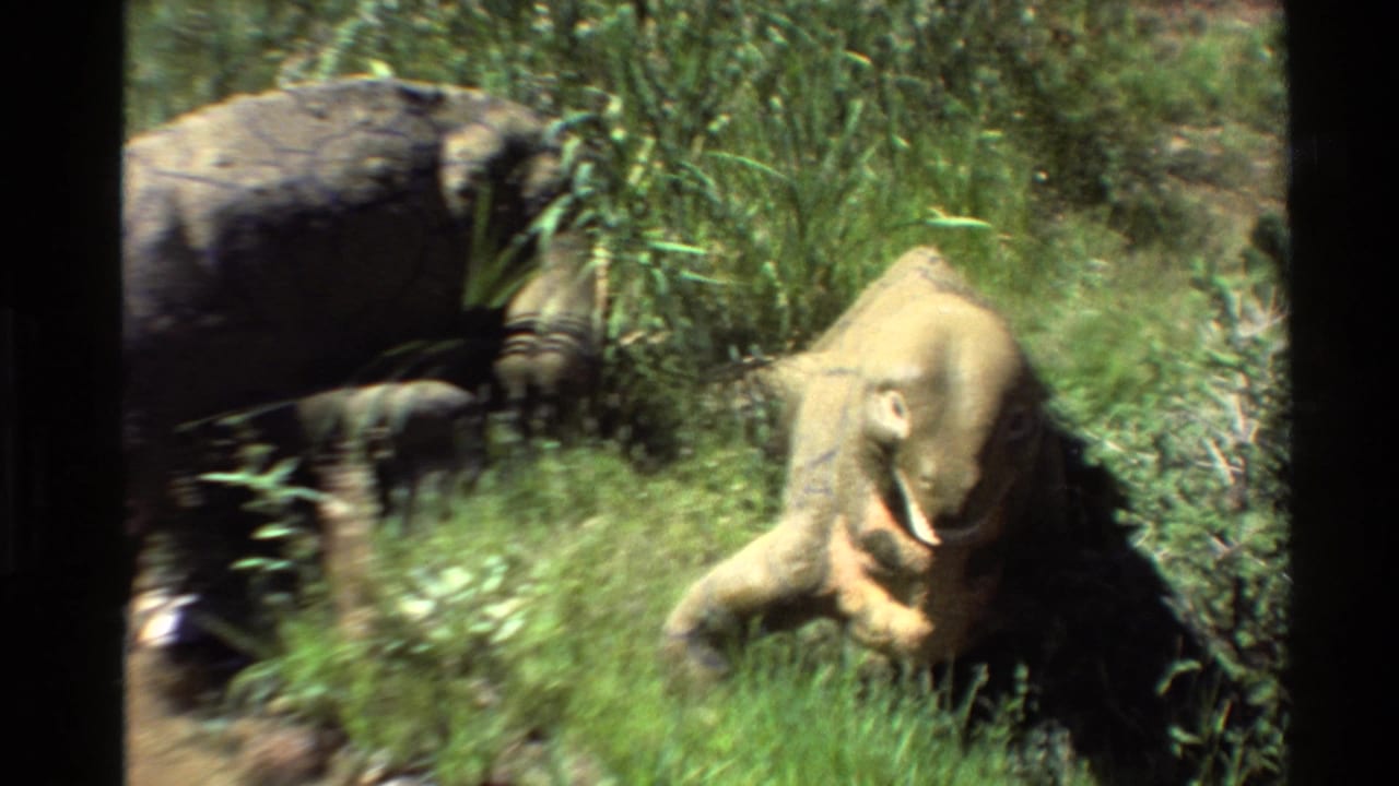 Two Moschops models among grass and rocks.