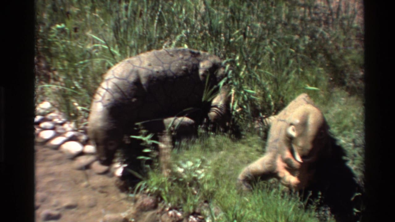 A handheld 8mm frame shows two Moschops models near tall grass, stones, and a dirt path in an outdoor exhibit.