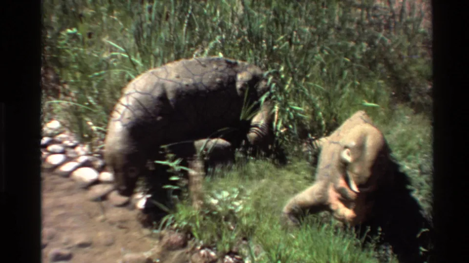 A handheld 8mm frame shows two Moschops models near tall grass, stones, and a dirt path in an outdoor exhibit.
