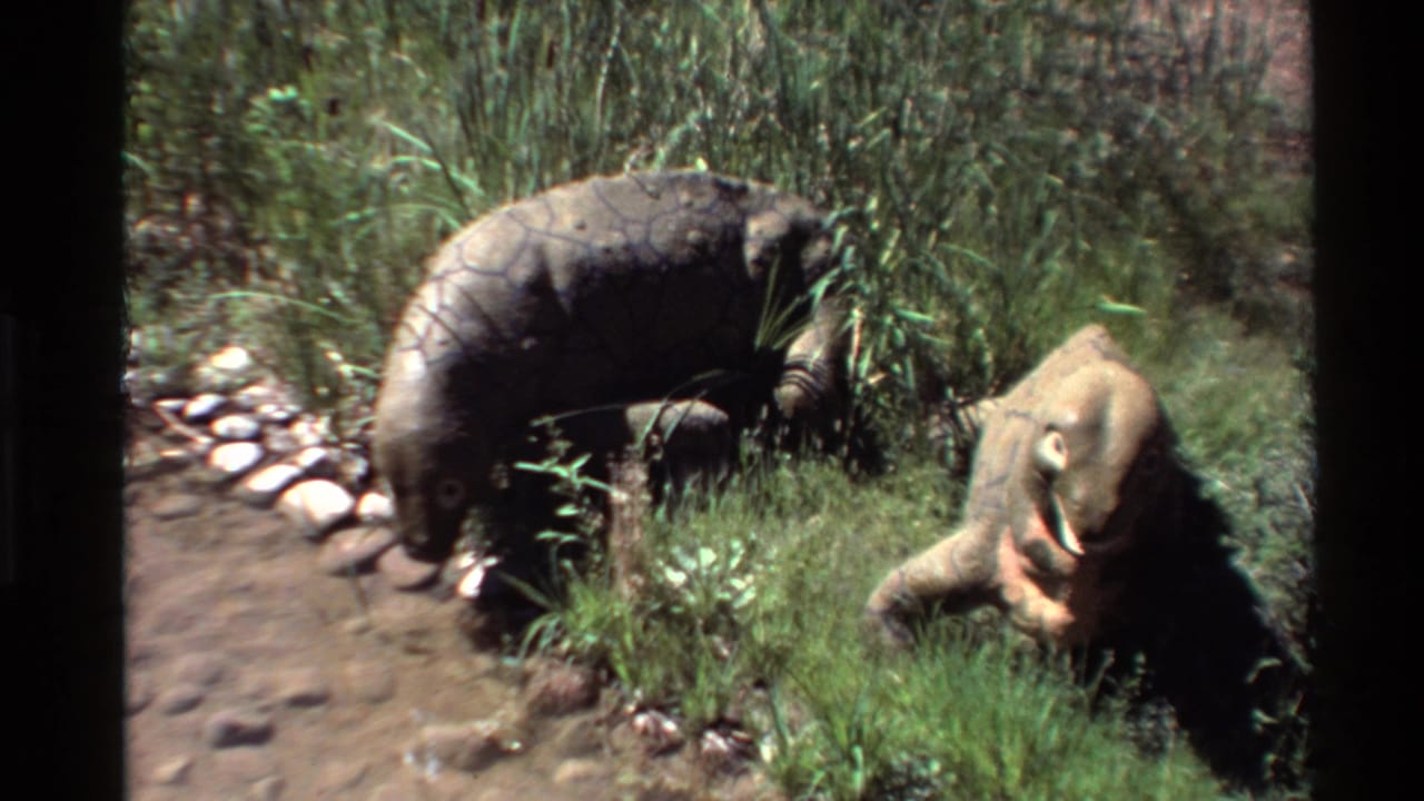 1980 Western USA 8mm frame showing two large reptile-like animals among tall grass near a stone-lined path in an outdoor enclosure.