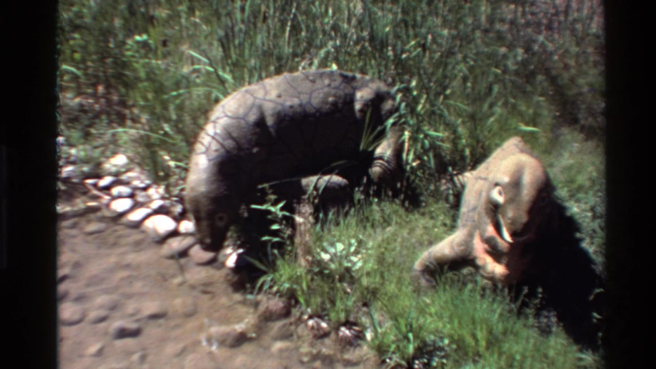 1980 Western USA 8mm frame showing two large reptile-like animals in a planted enclosure, with stones and damp ground along the left edge.