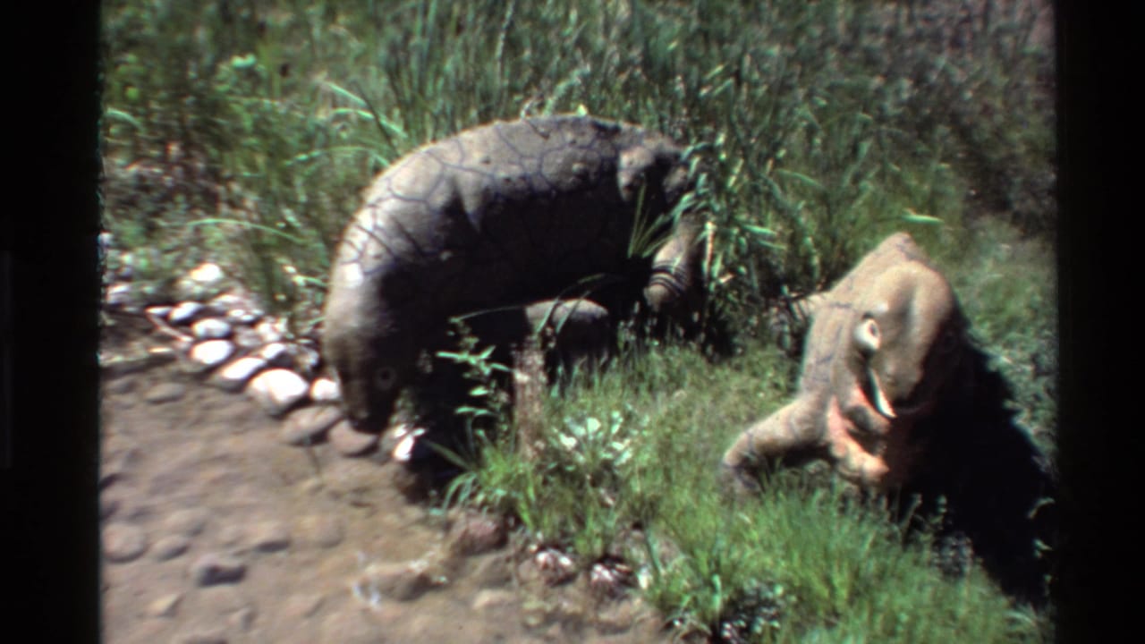 1980 Western USA 8mm frame showing two large reptile-like animals in grass, with stone edging and damp ground visible beside the enclosure.