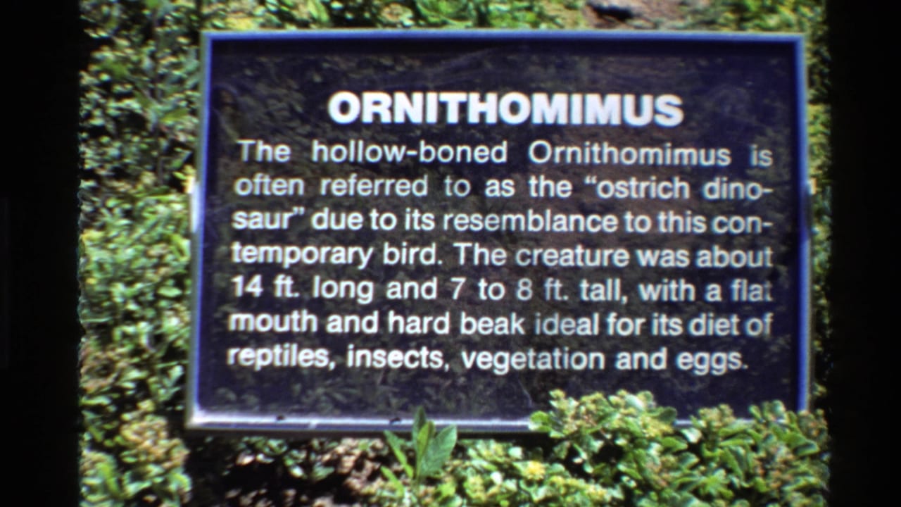 1980 Western USA 8mm frame showing a readable Ornithomimus sign describing a hollow-boned dinosaur.