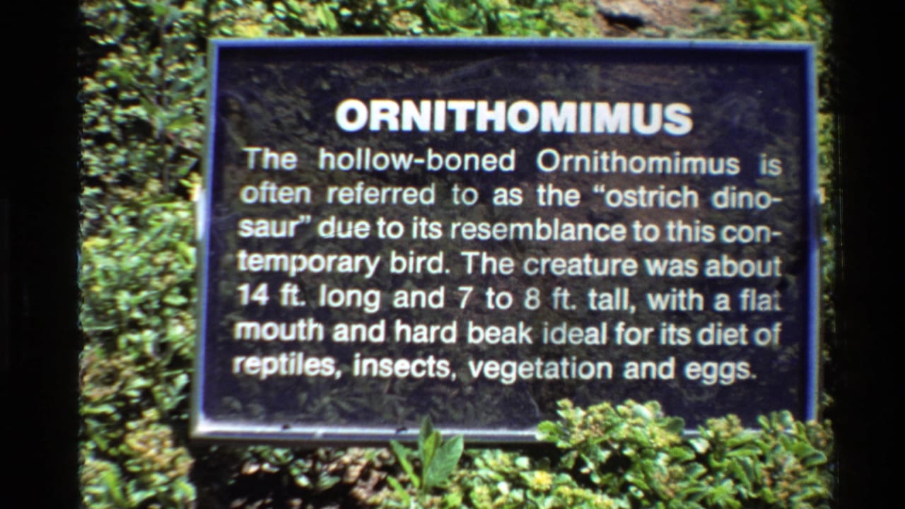 1980 U.S. 8mm frame showing an outdoor Ornithomimus information sign with white lettering and leafy plants around it.
