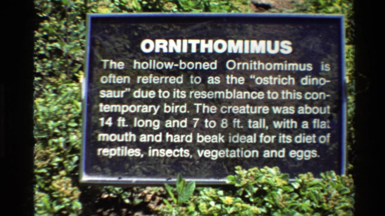 1980 U.S. 8mm still showing a visitor-framed Ornithomimus facts sign, including height, length, and diet text.