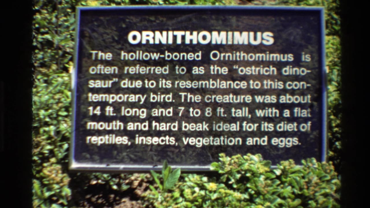 1980 U.S. travel-film frame of an outdoor Ornithomimus exhibit sign bordered by foliage and home-movie grain.