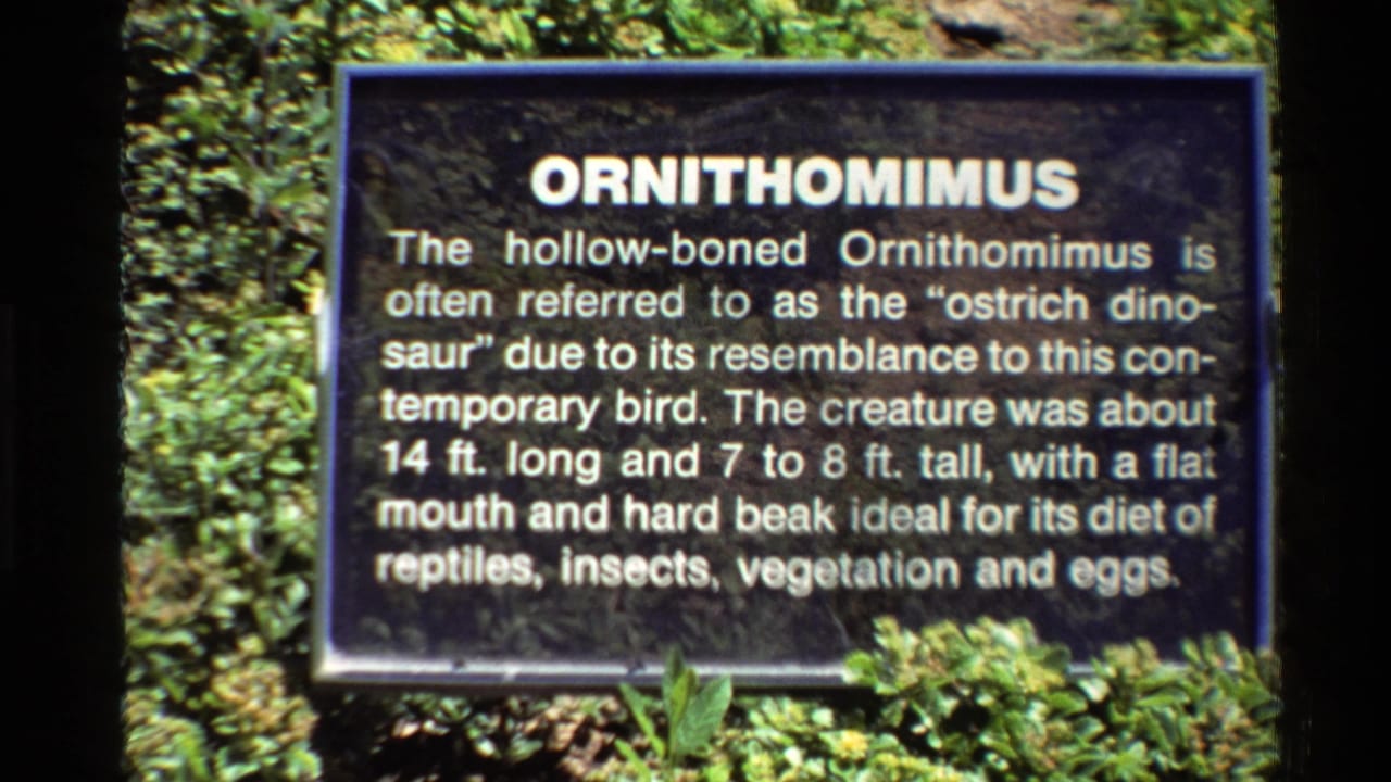 Black Ornithomimus display sign surrounded by greenery.
