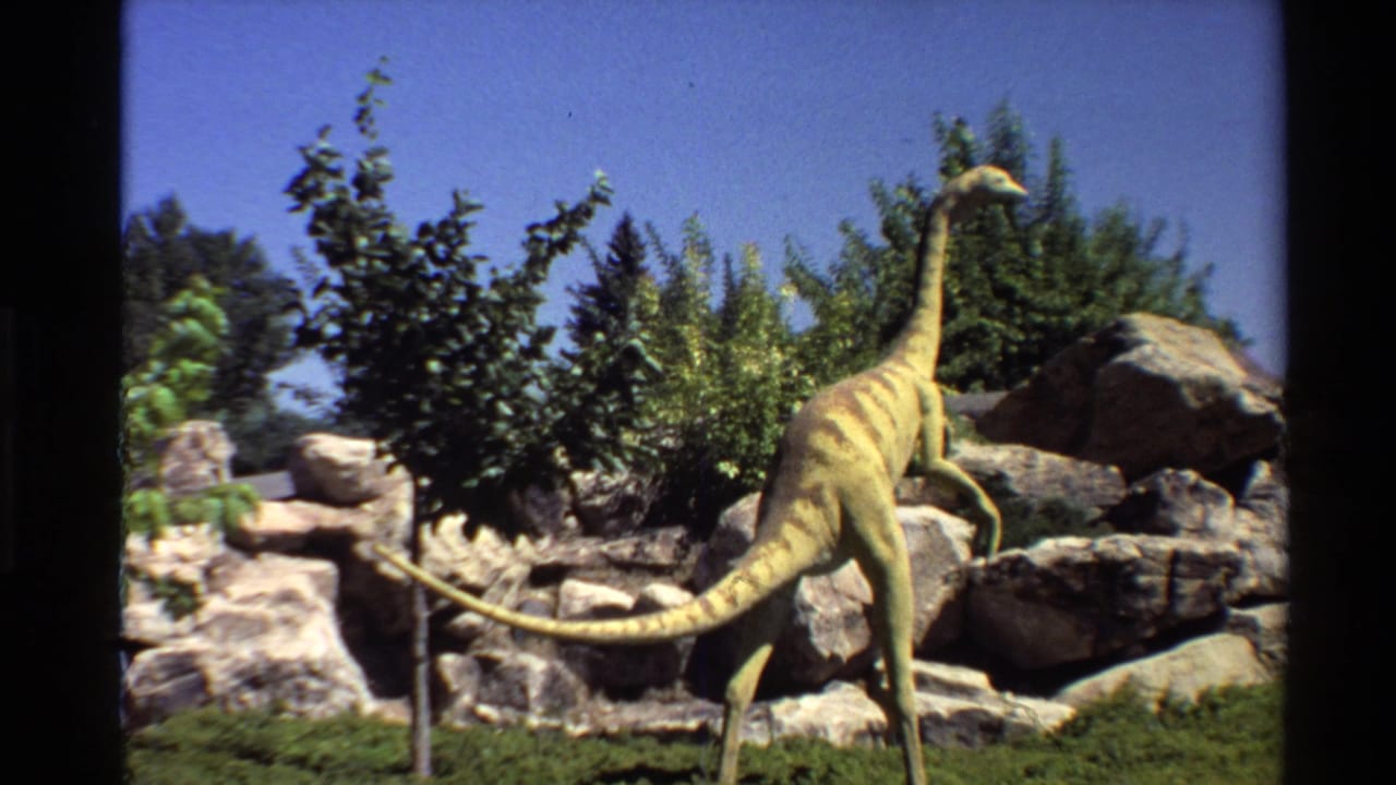 Handheld 8mm view of the Ornithomimus model with its long tail crossing a rocky exhibit in bright sun.